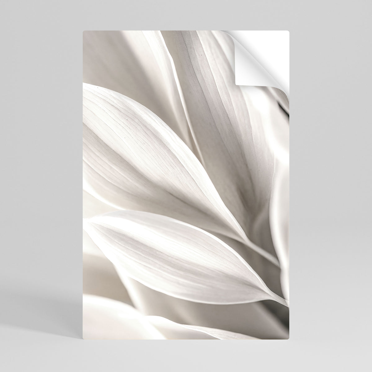 WHISPERS OF WHITE Peel and Stick Vertical Poster