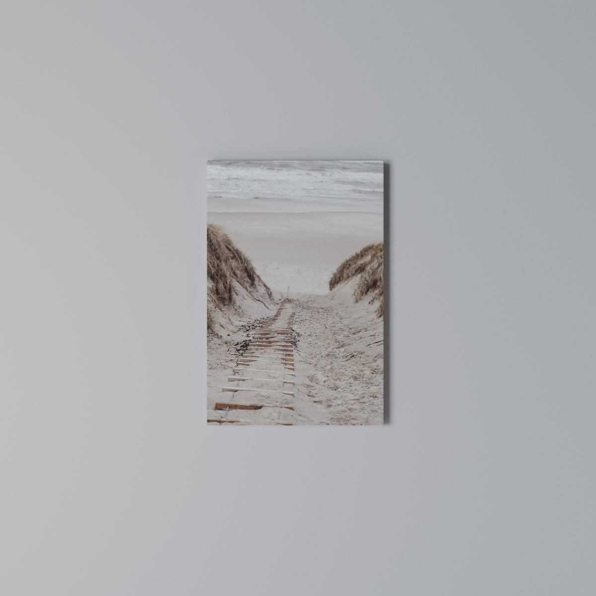HIDDEN COASTLINE TREK Vertical Canvas Print