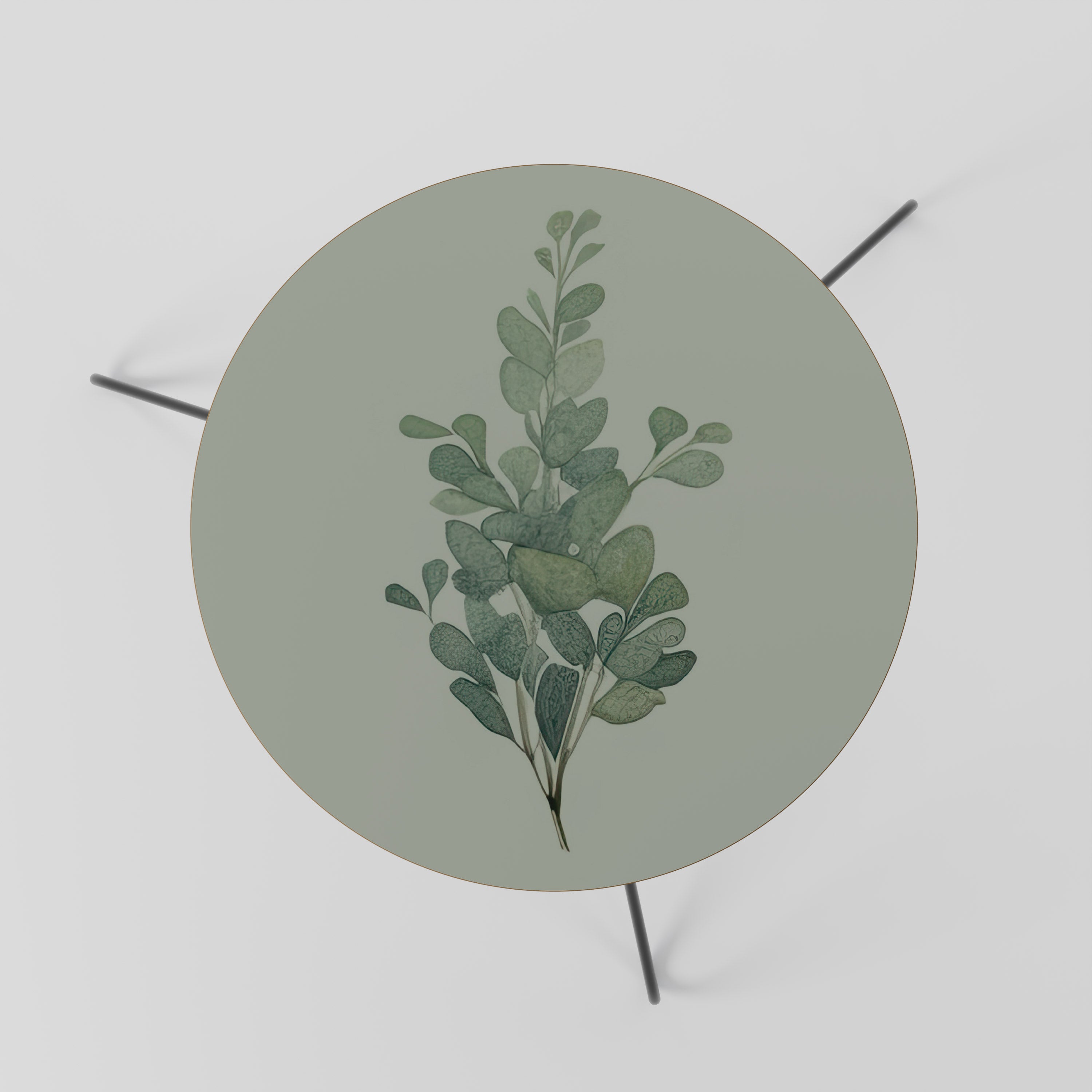 EUCALYPTUS TWIG Mesa de Centro 60