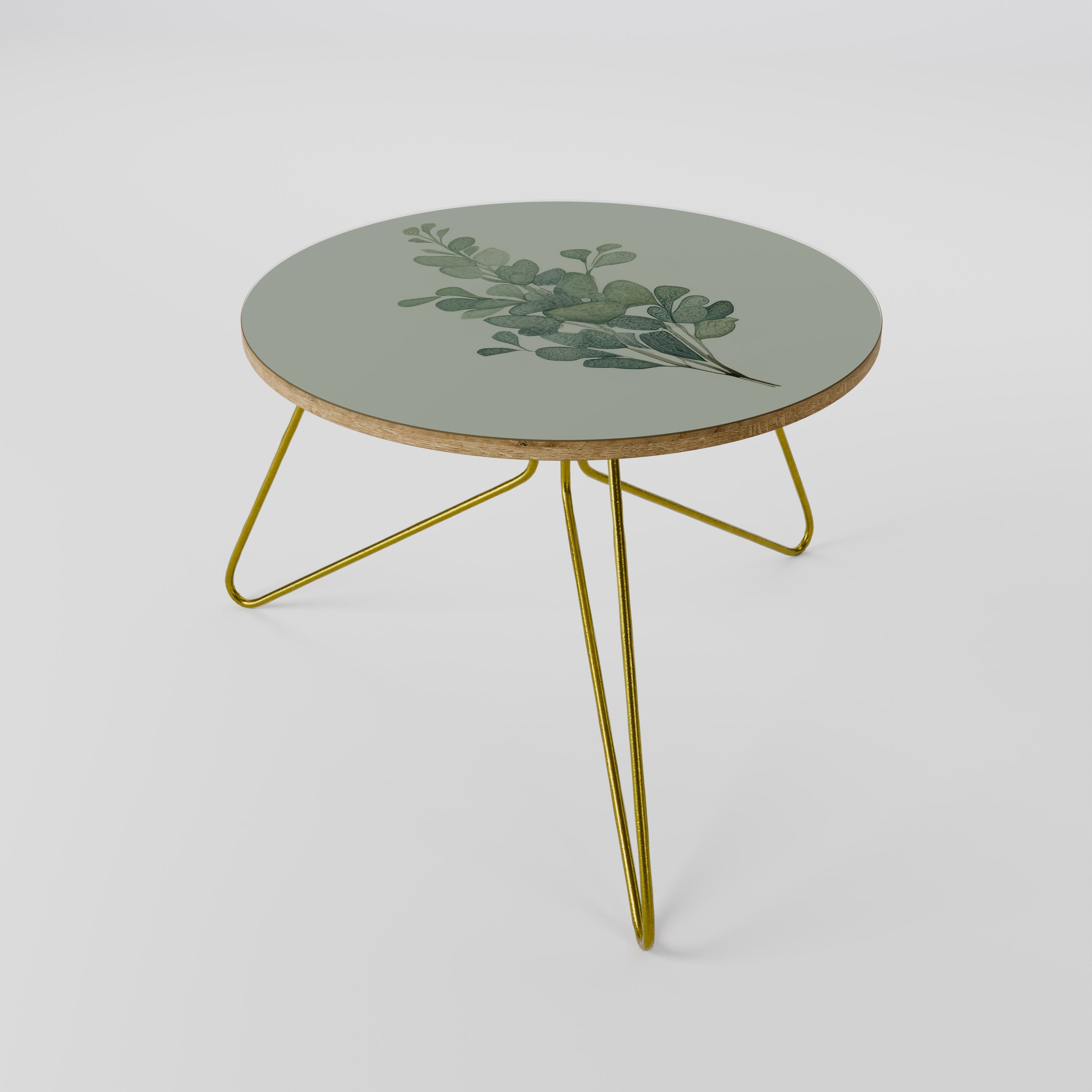 EUCALYPTUS TWIG Mesa de Centro 60