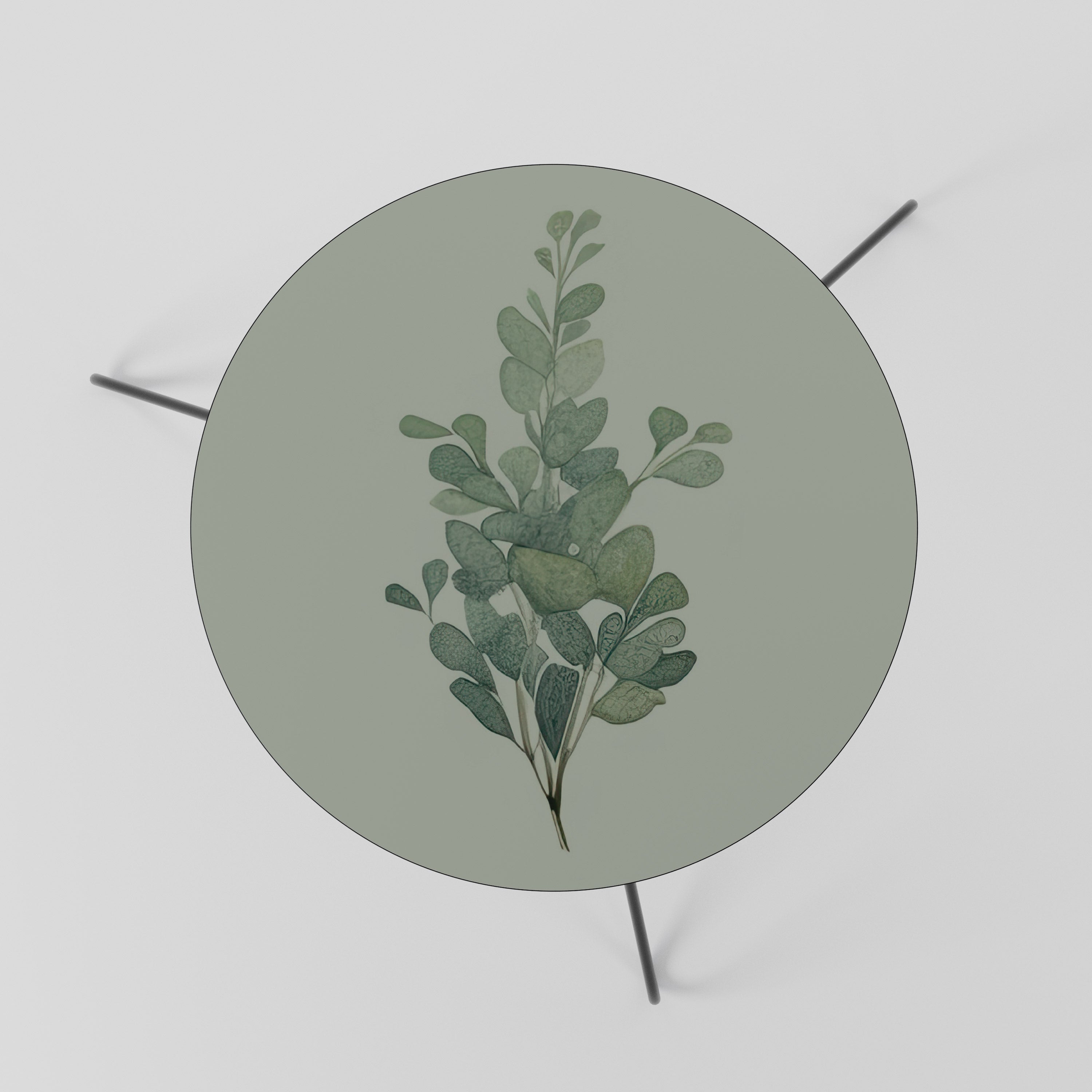 EUCALYPTUS TWIG Mesa de Centro 60