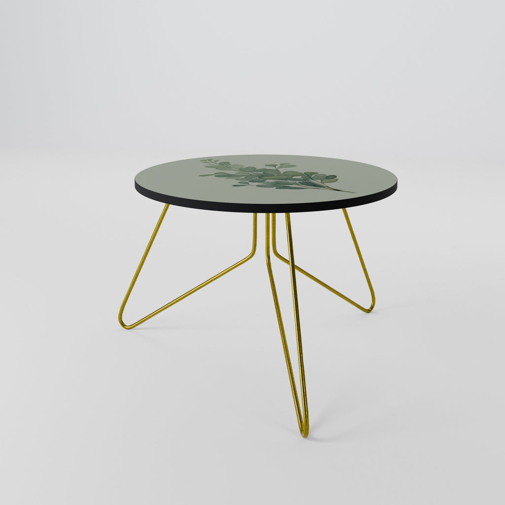 EUCALYPTUS TWIG Mesa de Centro 60