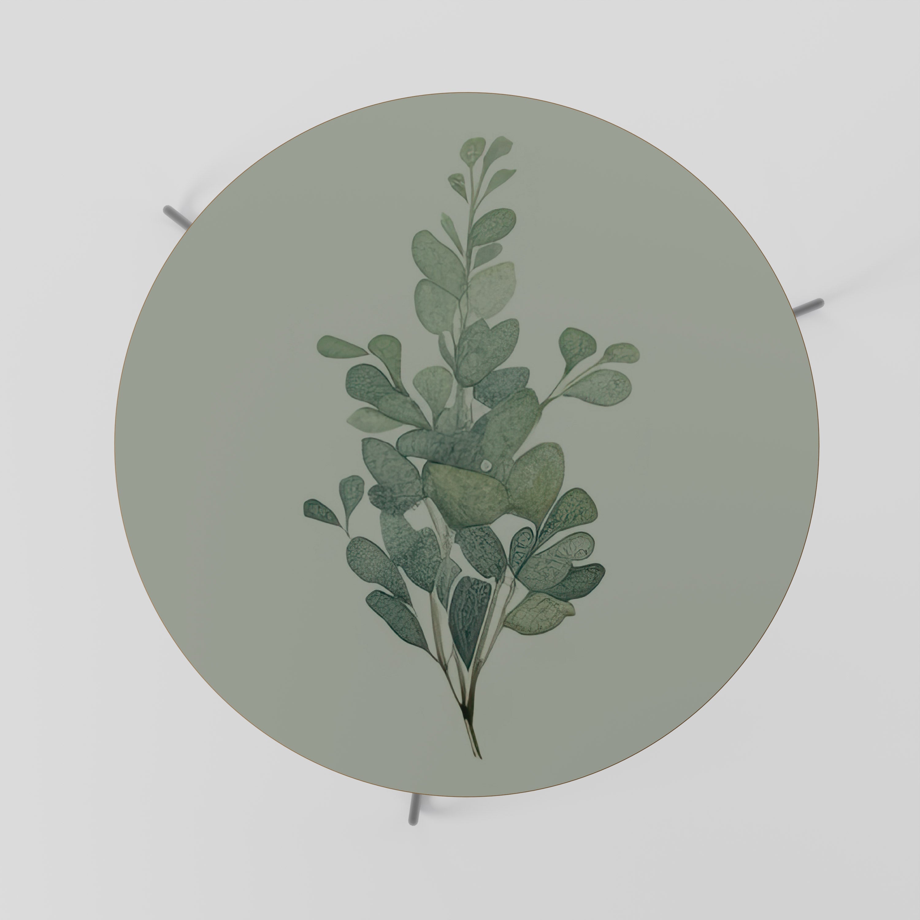 EUCALYPTUS TWIG Mesa de Centro 69