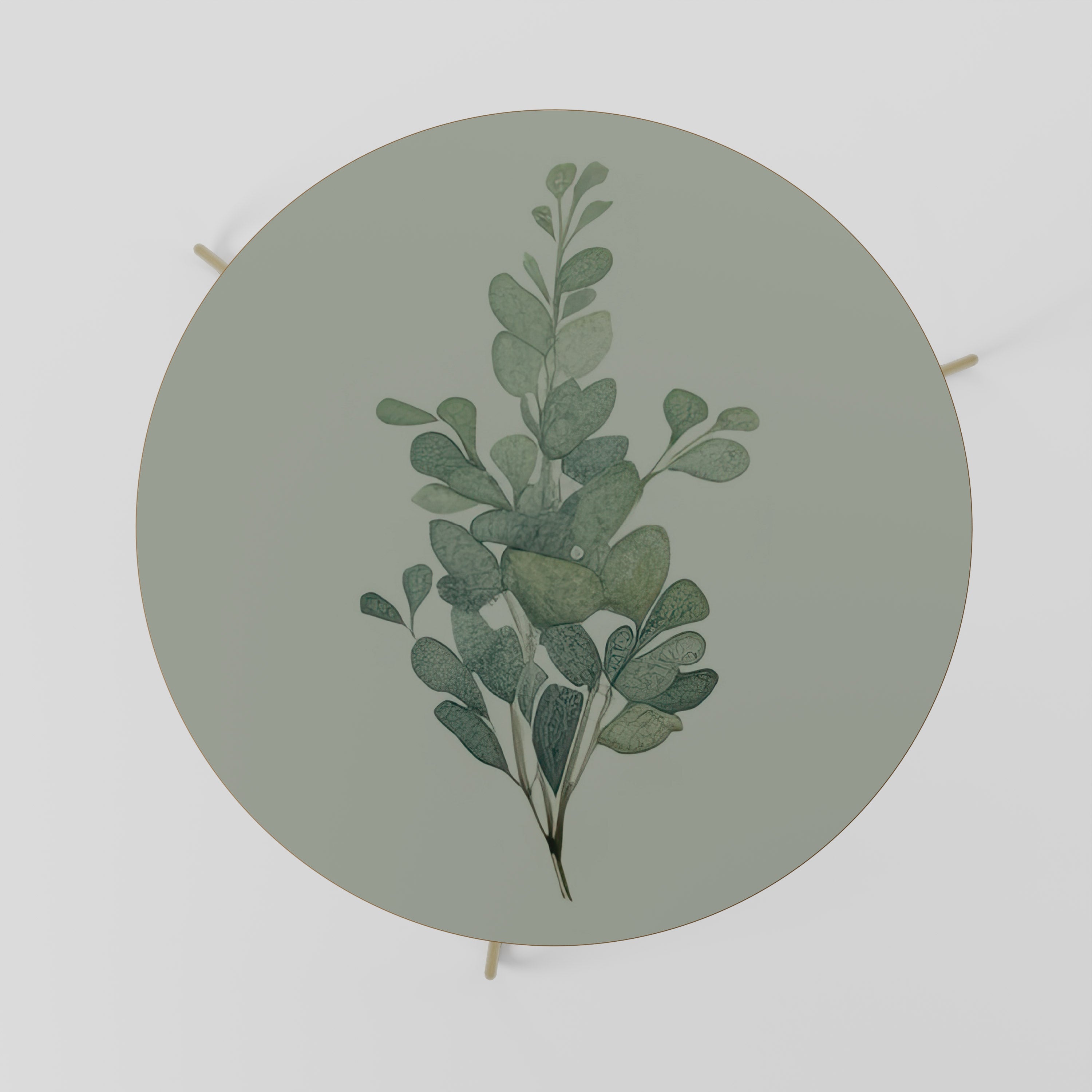 EUCALYPTUS TWIG Mesa de Centro 69