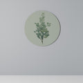 EUCALYPTUS TWIG Quadro Redondo Decorativo