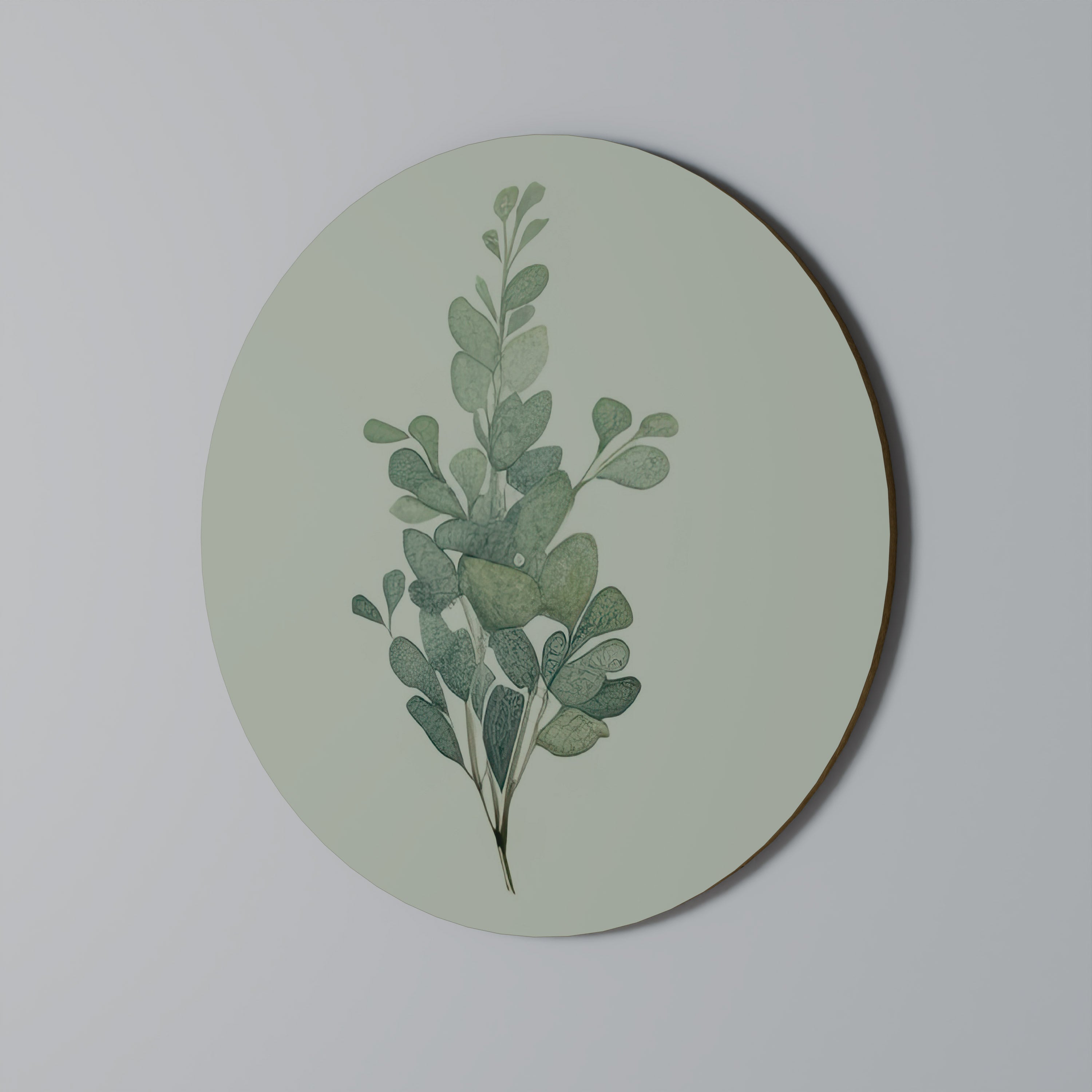 EUCALYPTUS TWIG Quadro Redondo Decorativo
