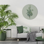 EUCALYPTUS TWIG Quadro Redondo Decorativo