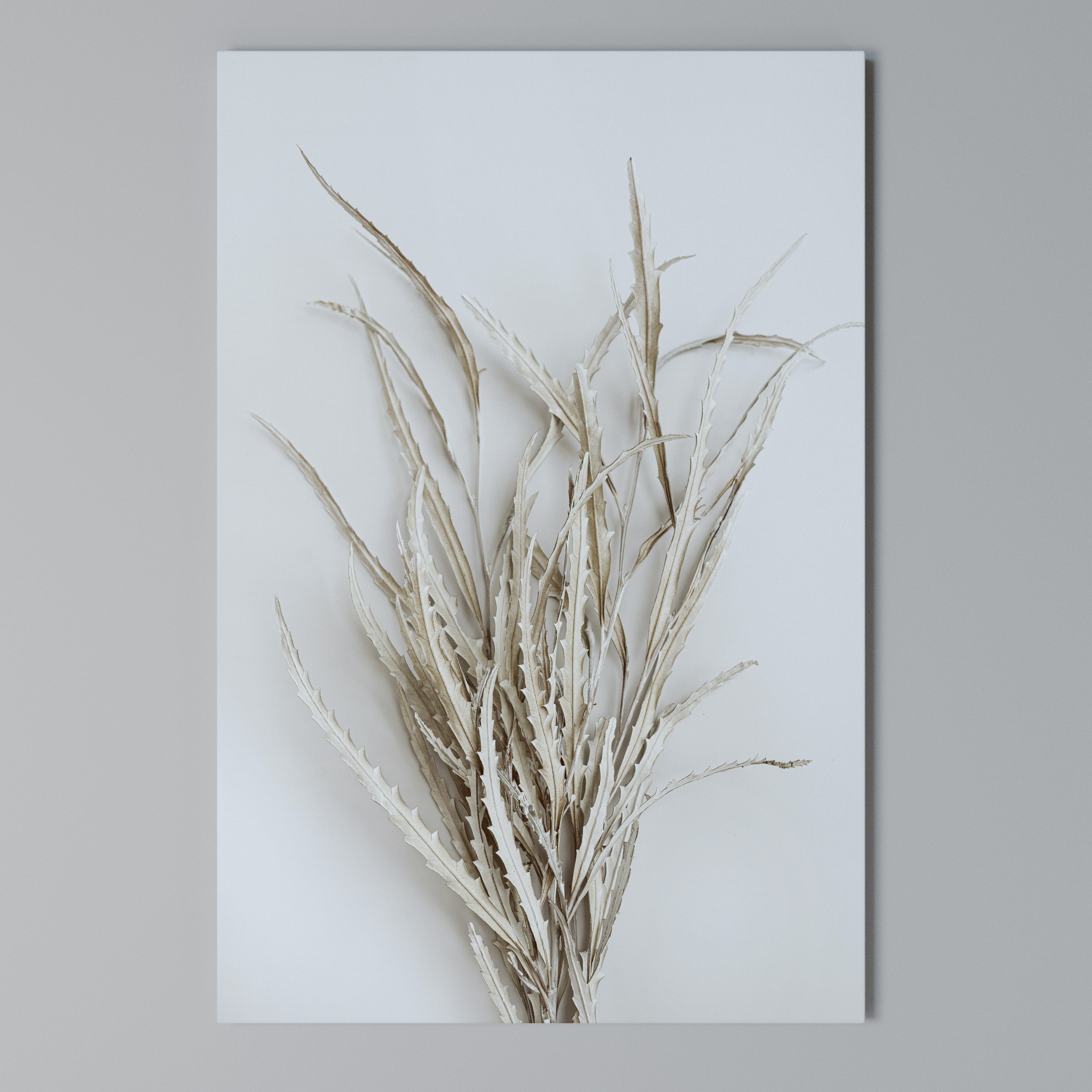 DRIED DREAMS DISPLAY Quadro em tela vertical