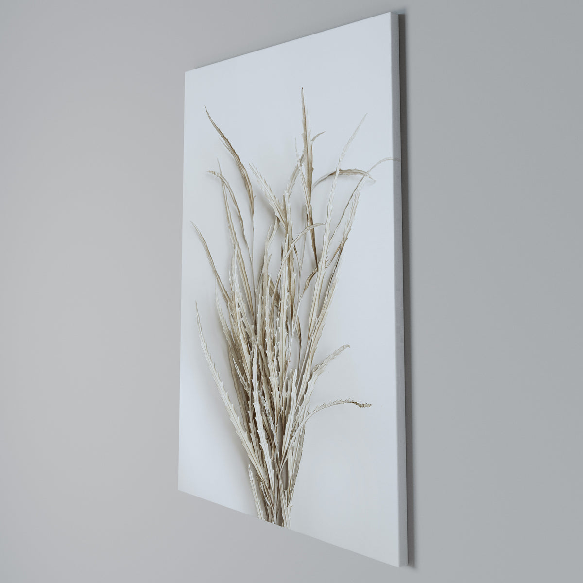 DRIED DREAMS DISPLAY Quadro em tela vertical