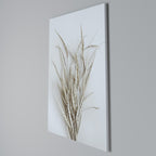 DRIED DREAMS DISPLAY Quadro em tela vertical