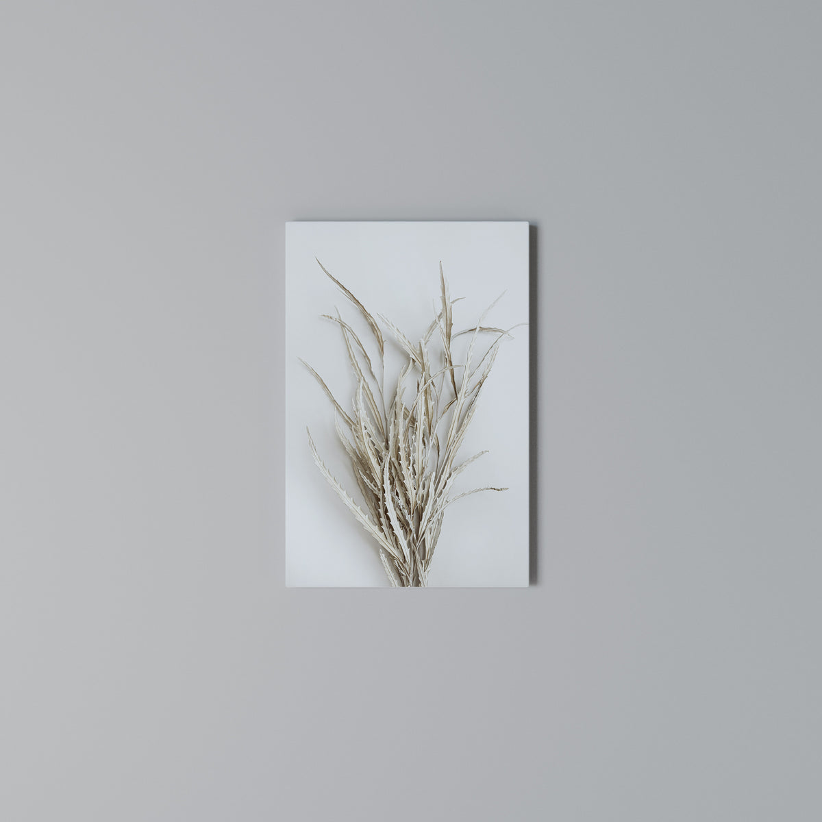 DRIED DREAMS DISPLAY Quadro em tela vertical
