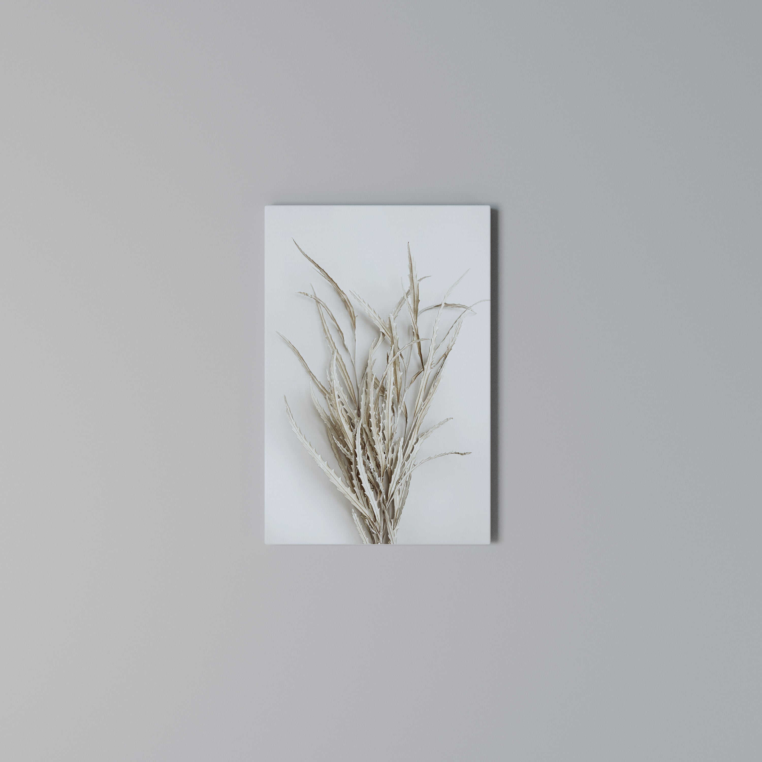 DRIED DREAMS DISPLAY Quadro em tela vertical