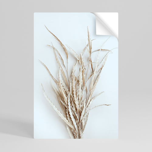 DRIED DREAMS DISPLAY Póster Autocolante Vertical