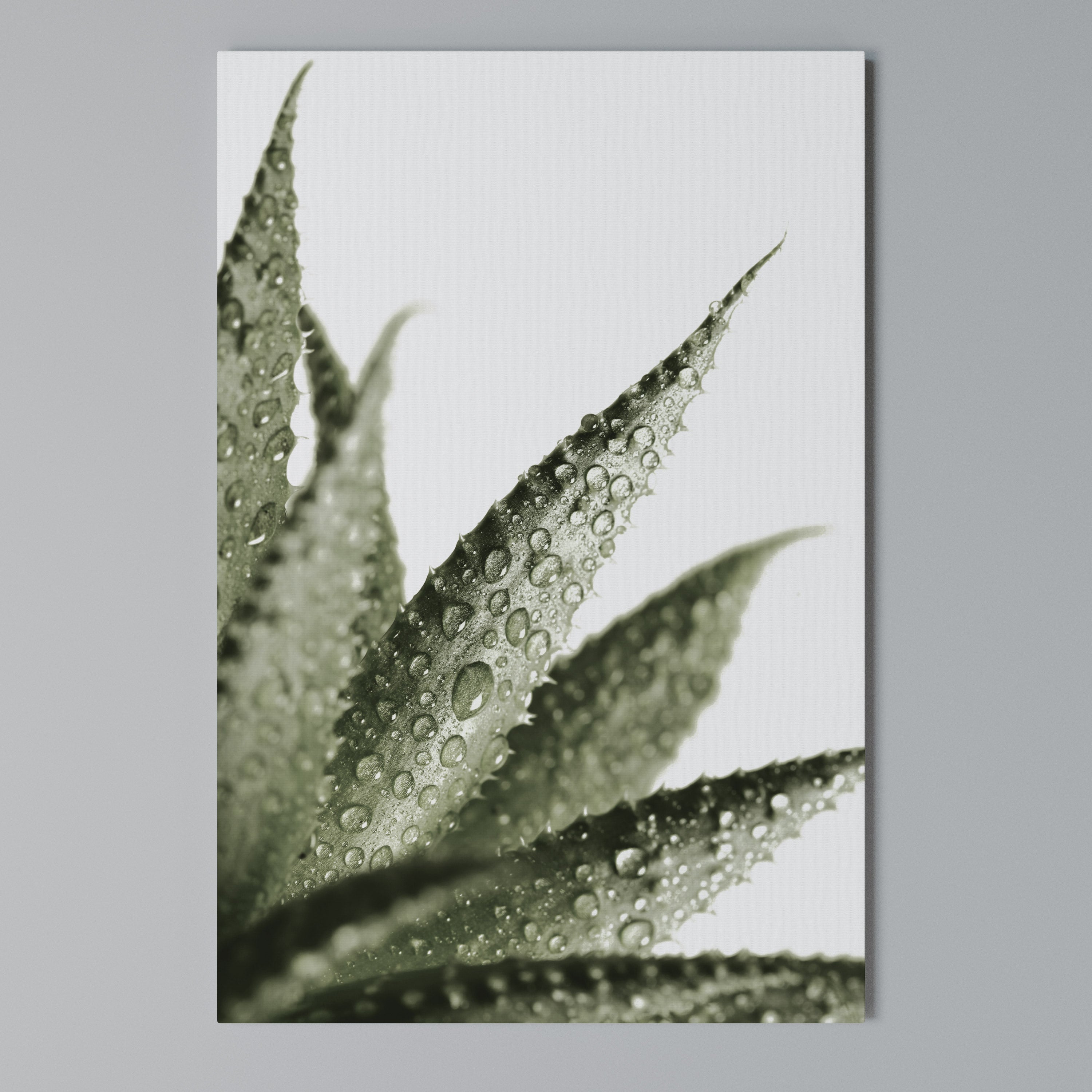 DEWDROP SYMPHONY Quadro em tela vertical