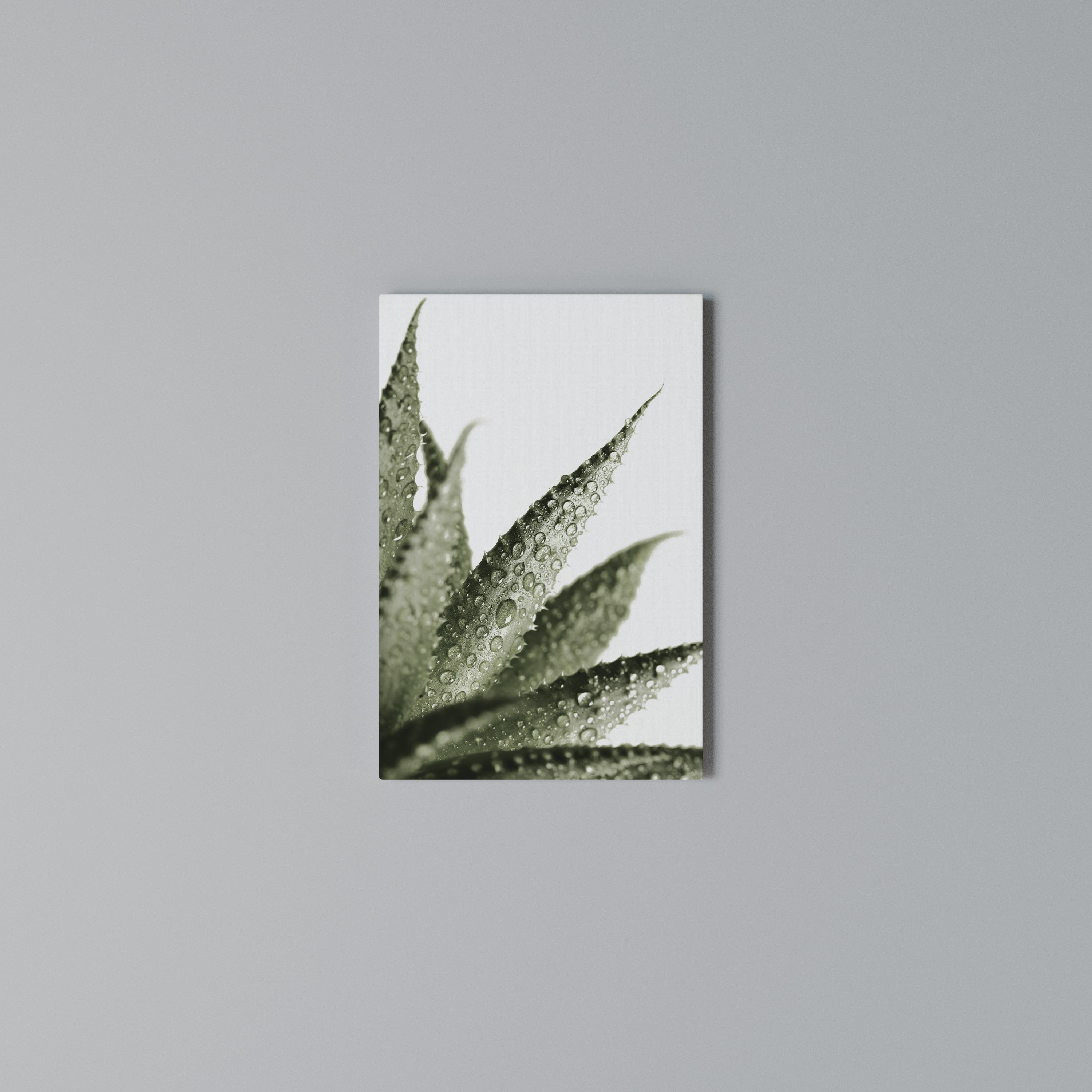 DEWDROP SYMPHONY Quadro em tela vertical