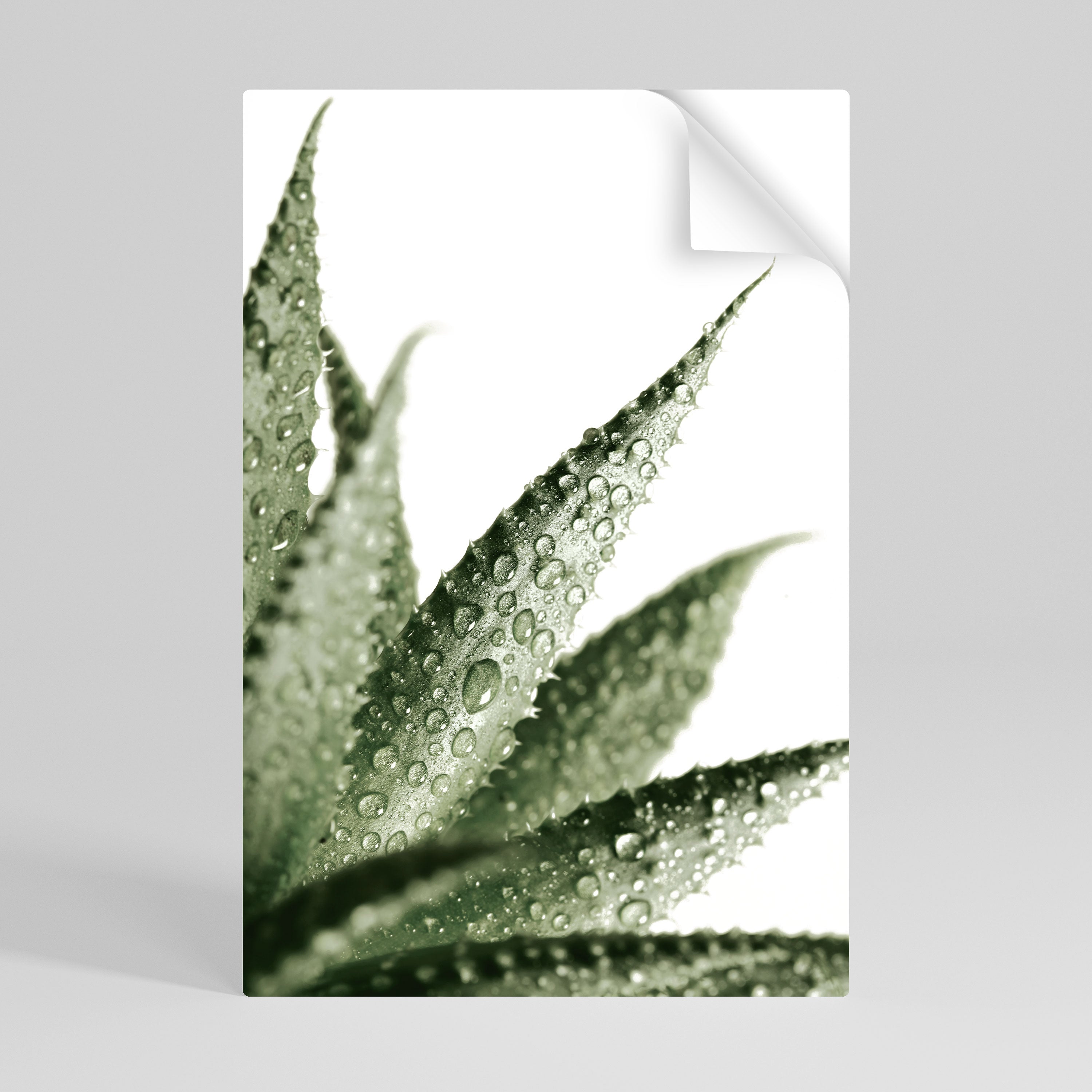 DEWDROP SYMPHONY Póster Autocolante Vertical