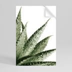 DEWDROP SYMPHONY Peel and Stick Vertical Poster