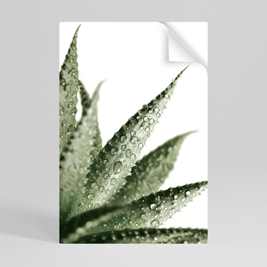 DEWDROP SYMPHONY Póster Autocolante Vertical