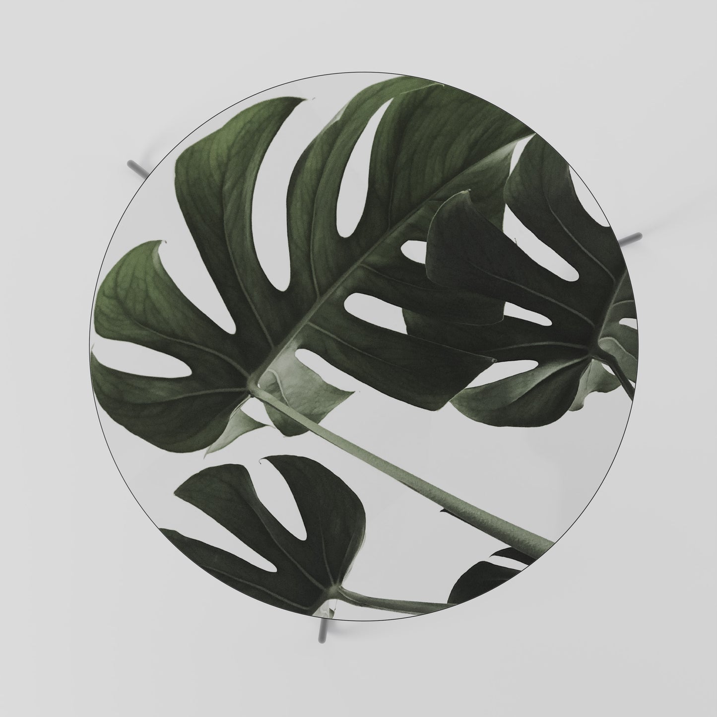 FOLIAGE FUSION Mesa de Centro