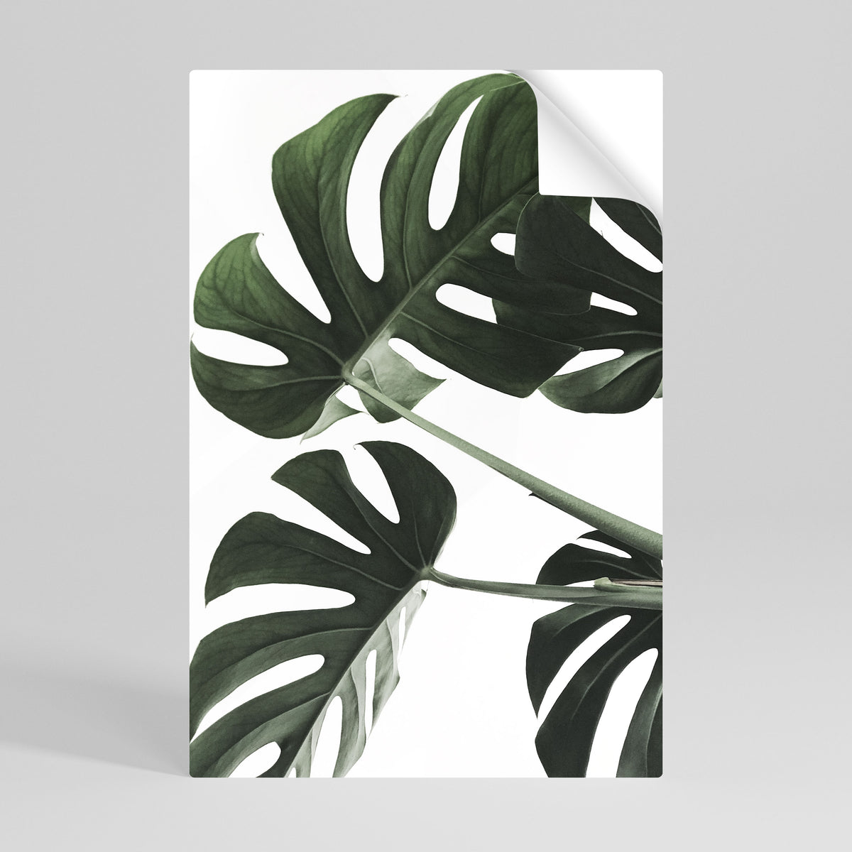 FOLIAGE FUSION Póster Autocolante Vertical