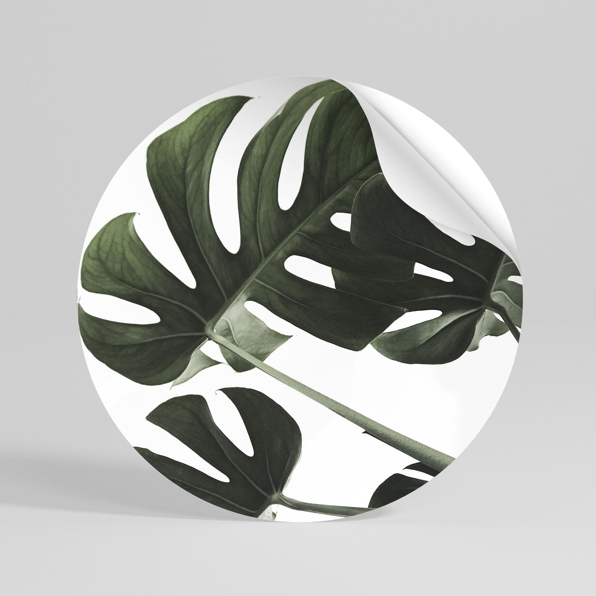 FOLIAGE FUSION Autocolante Redondo Removível