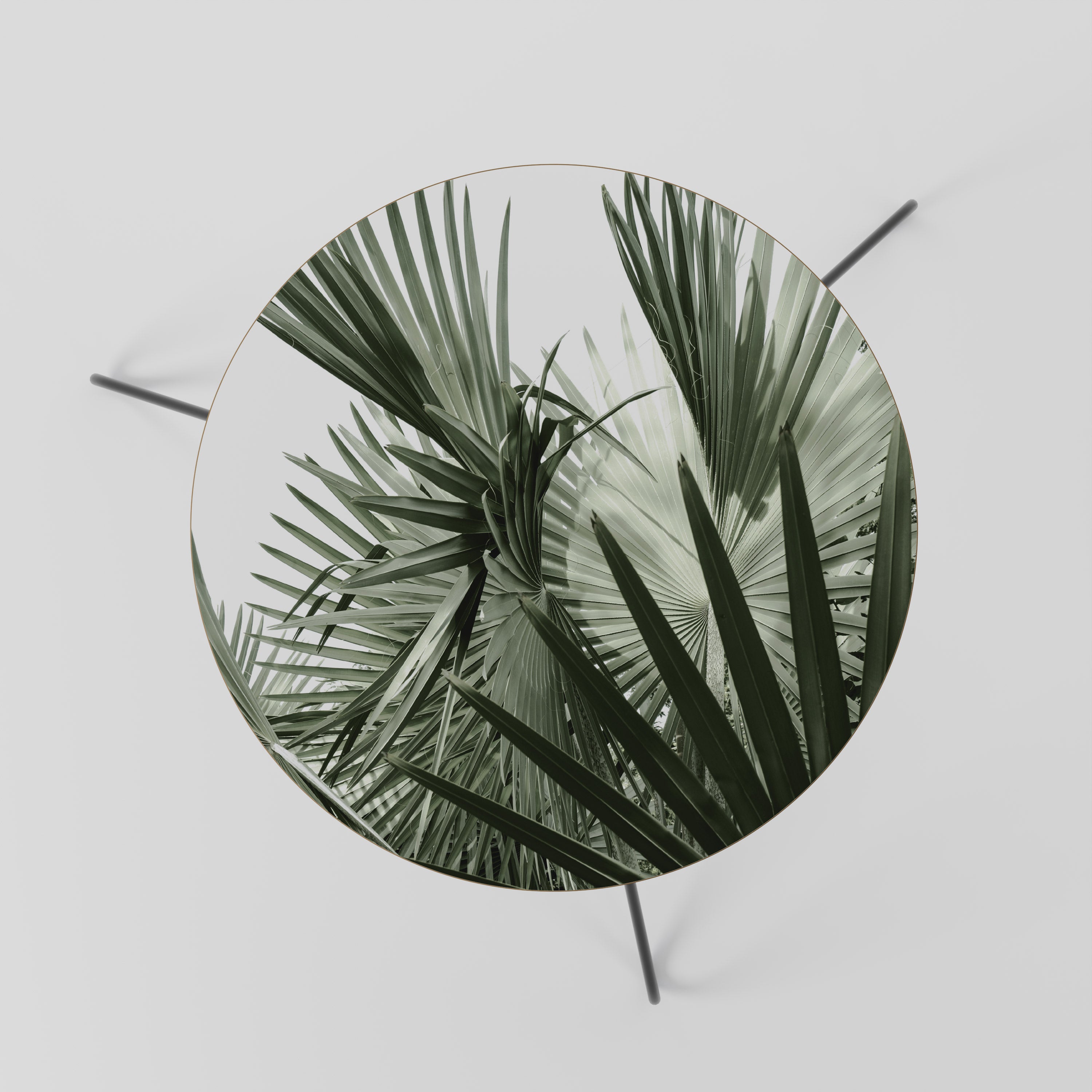 PALM PARADISE DANCE Mesa de Centro 60