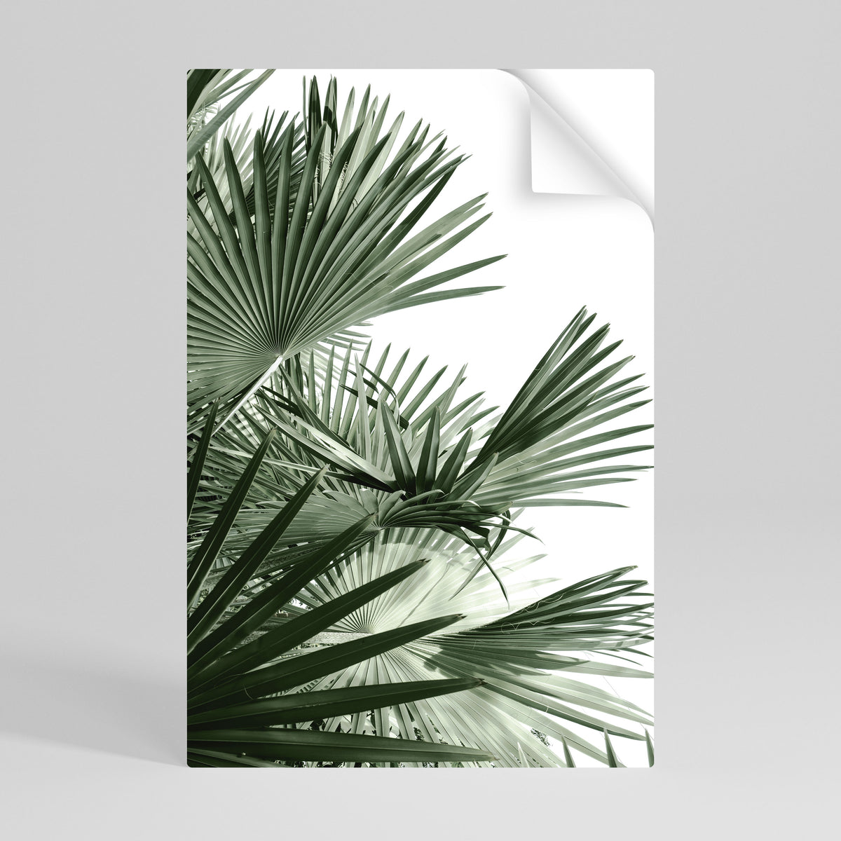 PALM PARADISE DANCE Póster Autocolante Vertical