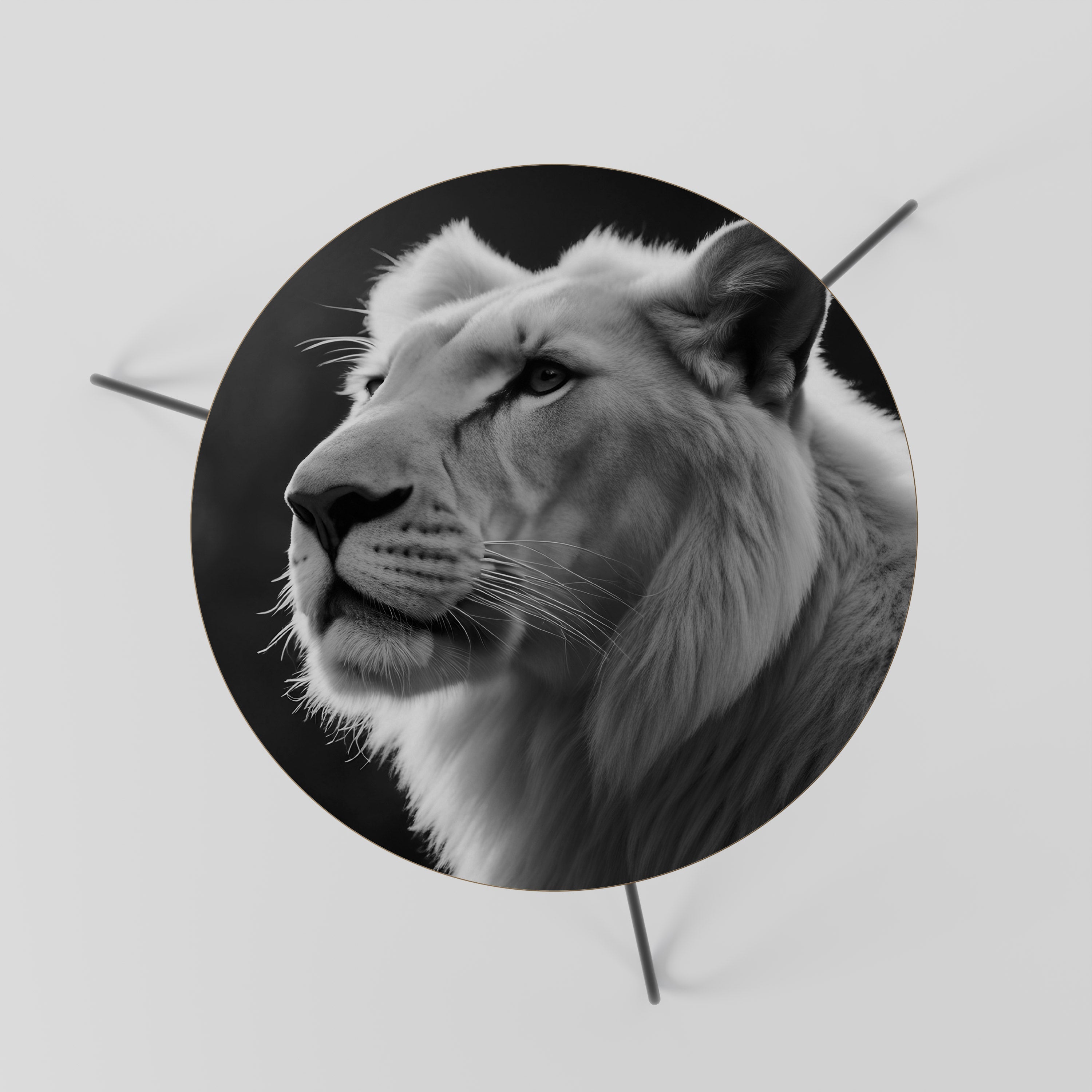 WHISPERS OF MAJESTY Mesa de Centro 60