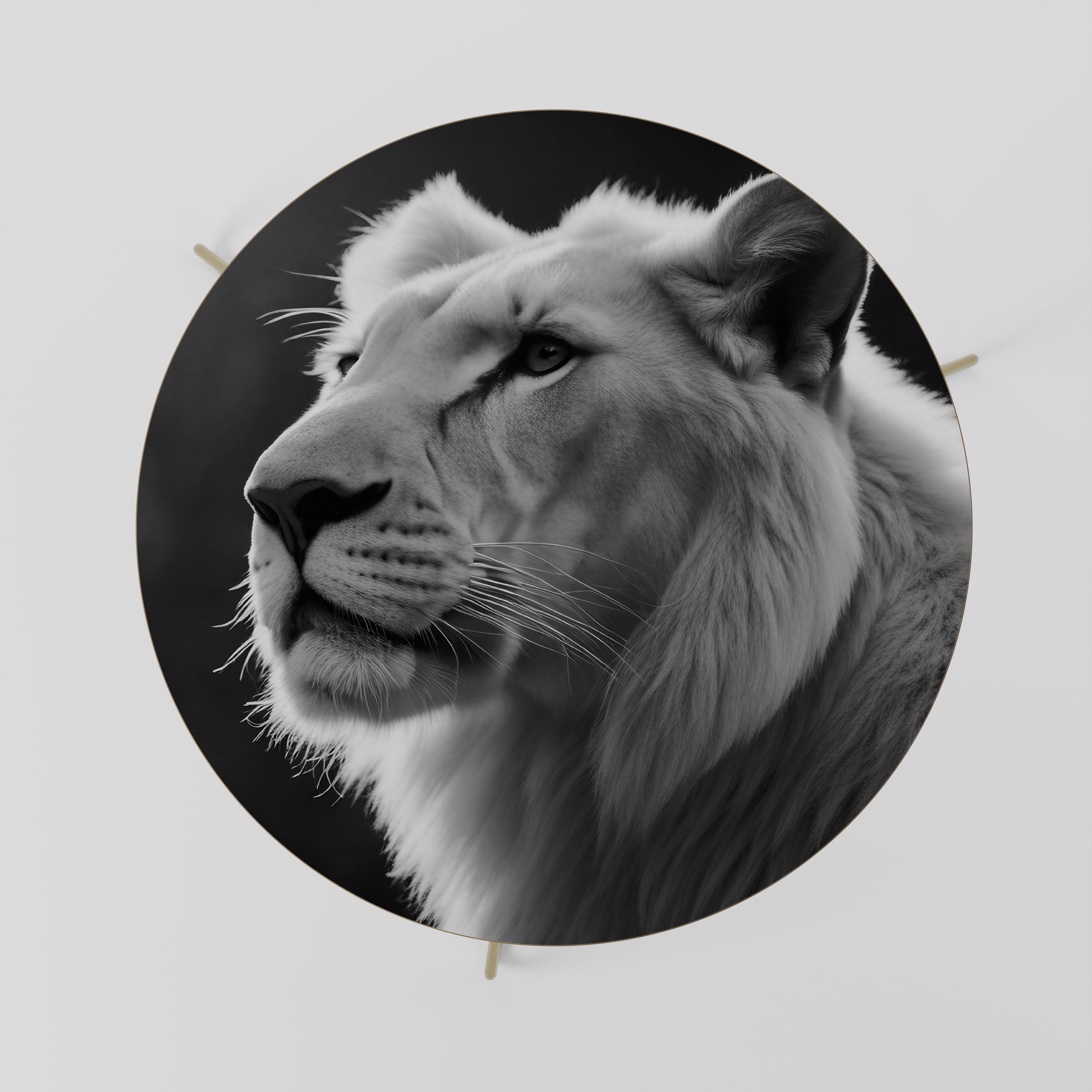 WHISPERS OF MAJESTY Mesa de Centro 69