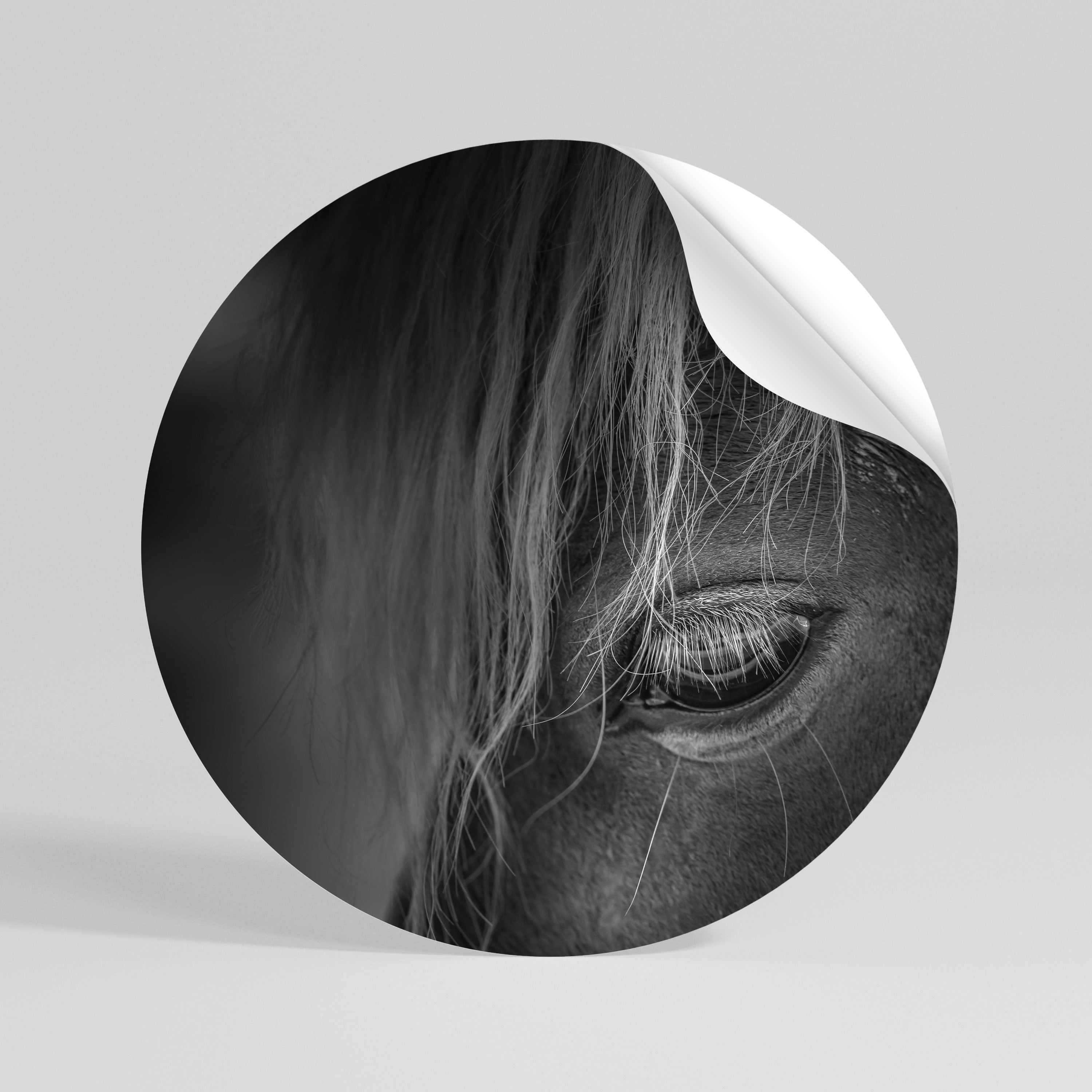 SILENT STRENGTH Autocolante Redondo Removível