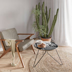 SECRET PATHWAYS UNVEILED Coffee Table 60