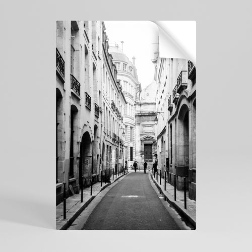 SECRET PATHWAYS UNVEILED Póster Autocolante Vertical