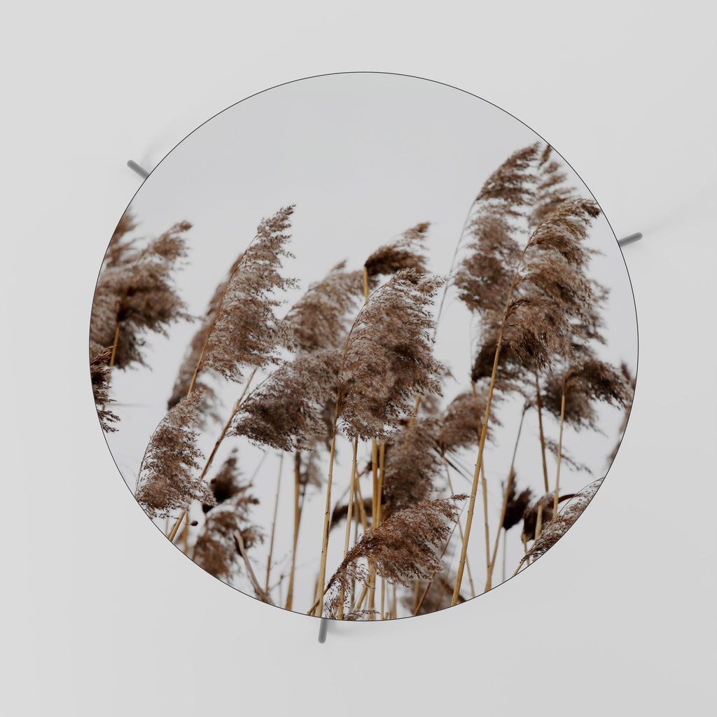 DANCE OF REEDS Mesa de Centro 69