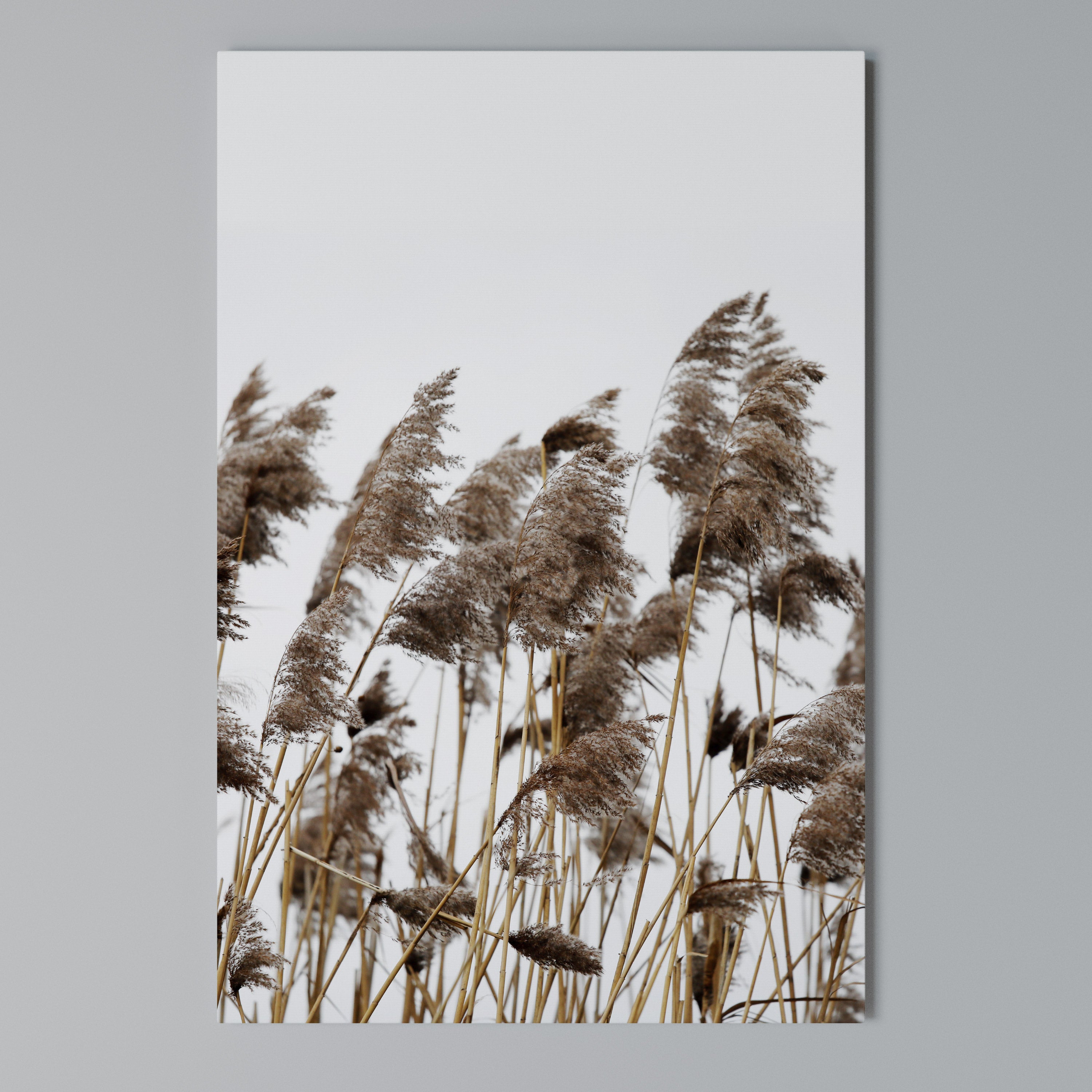 DANCE OF REEDS Quadro em tela vertical