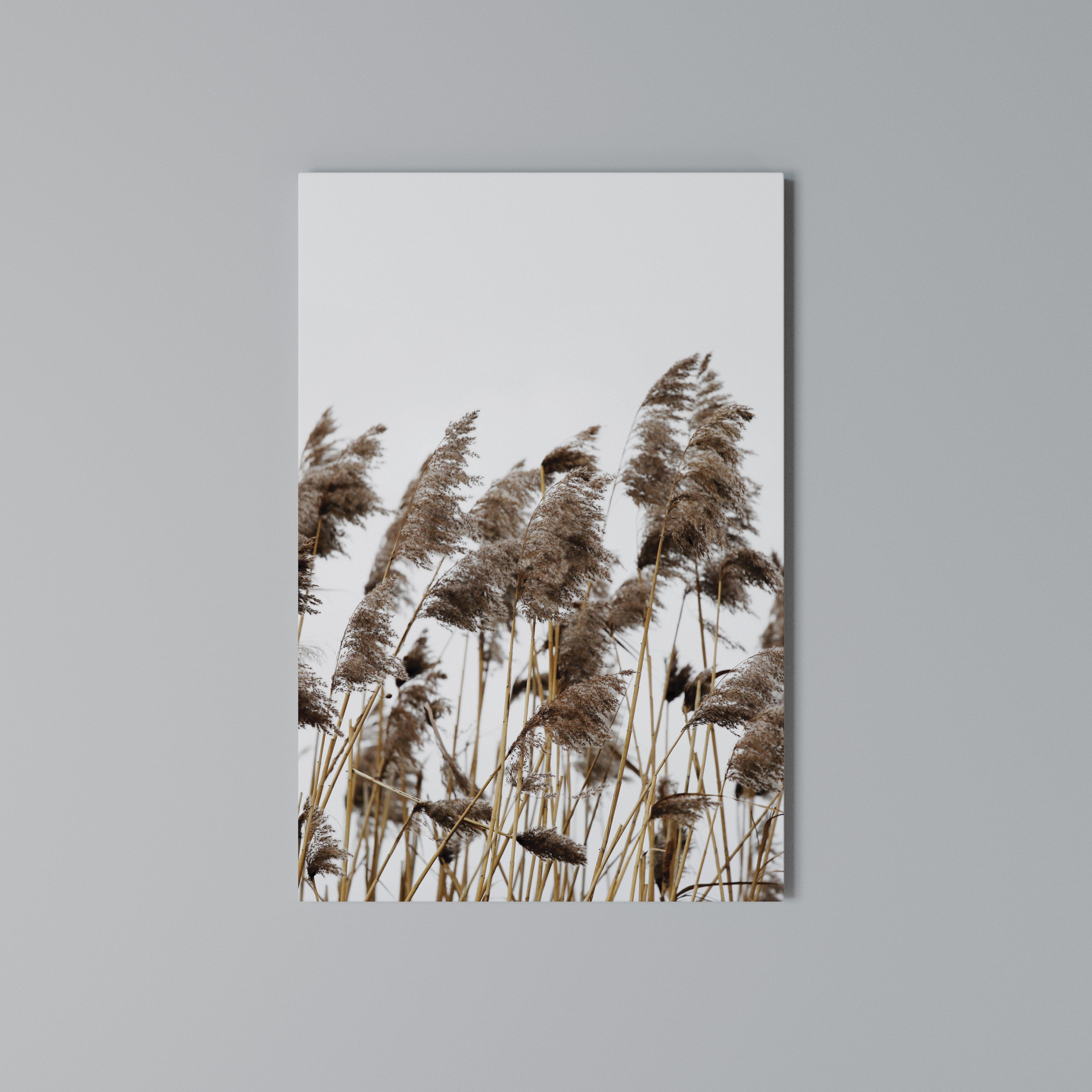 DANCE OF REEDS Quadro em tela vertical
