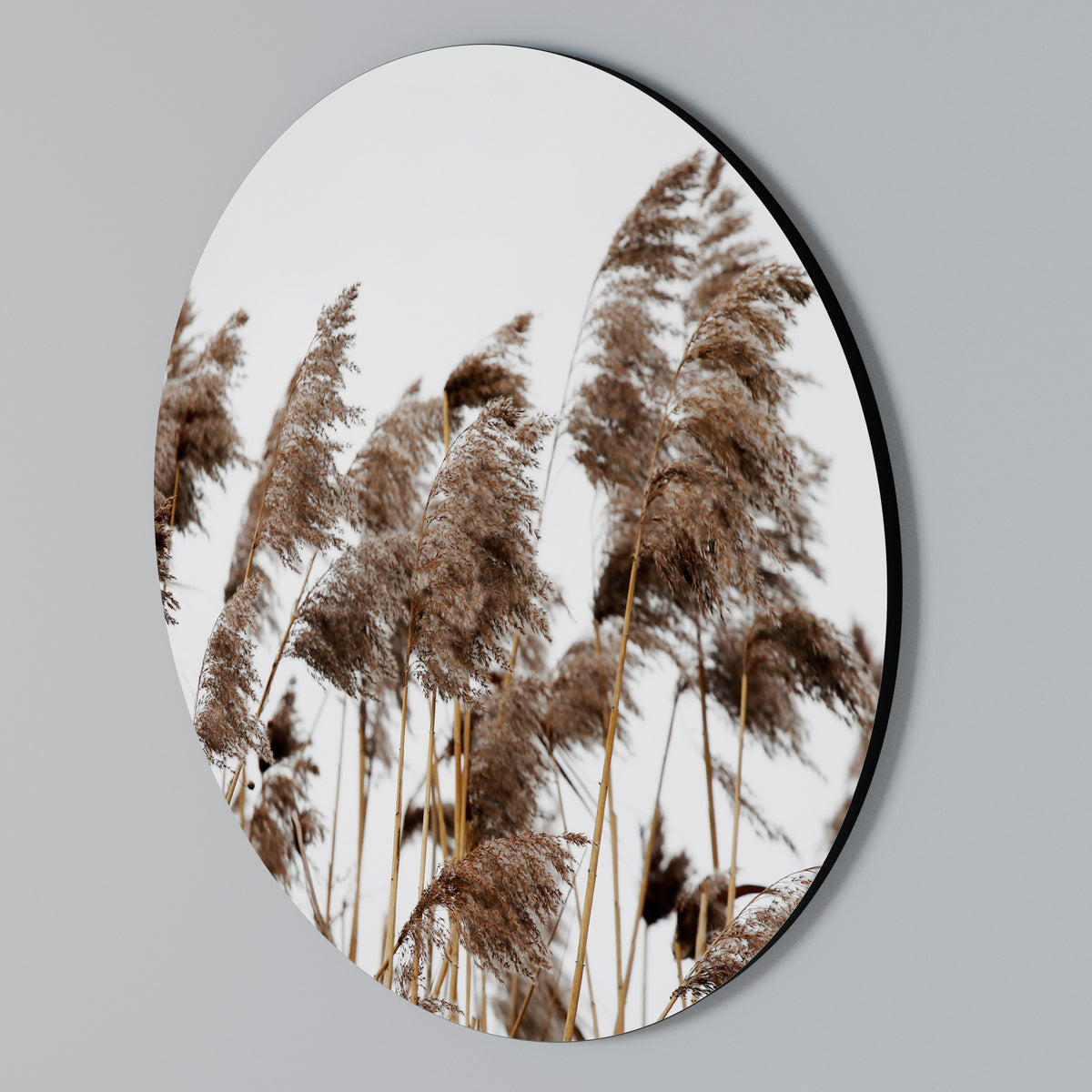 DANCE OF REEDS Arte de Parede Redonda