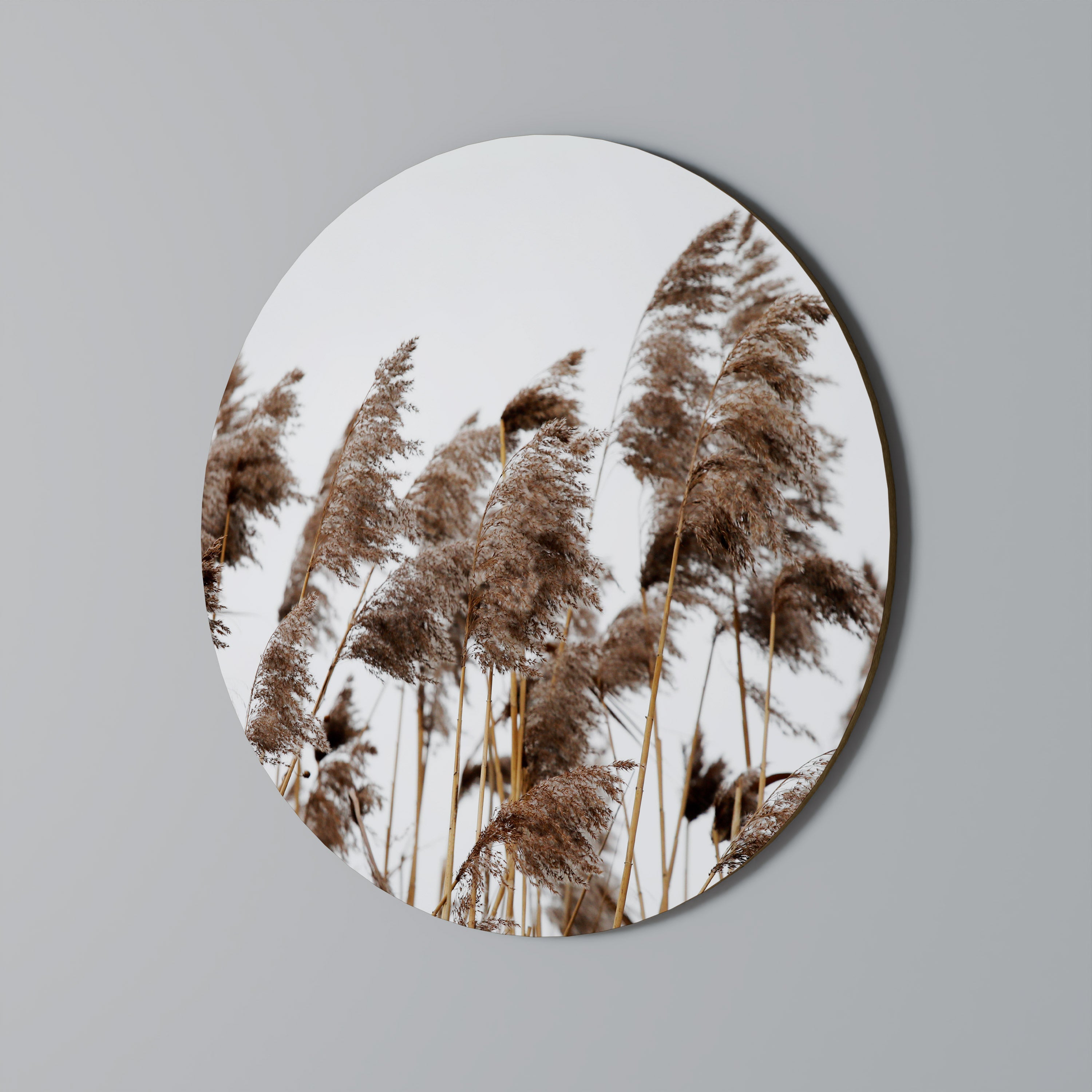 DANCE OF REEDS Quadro Redondo Decorativo