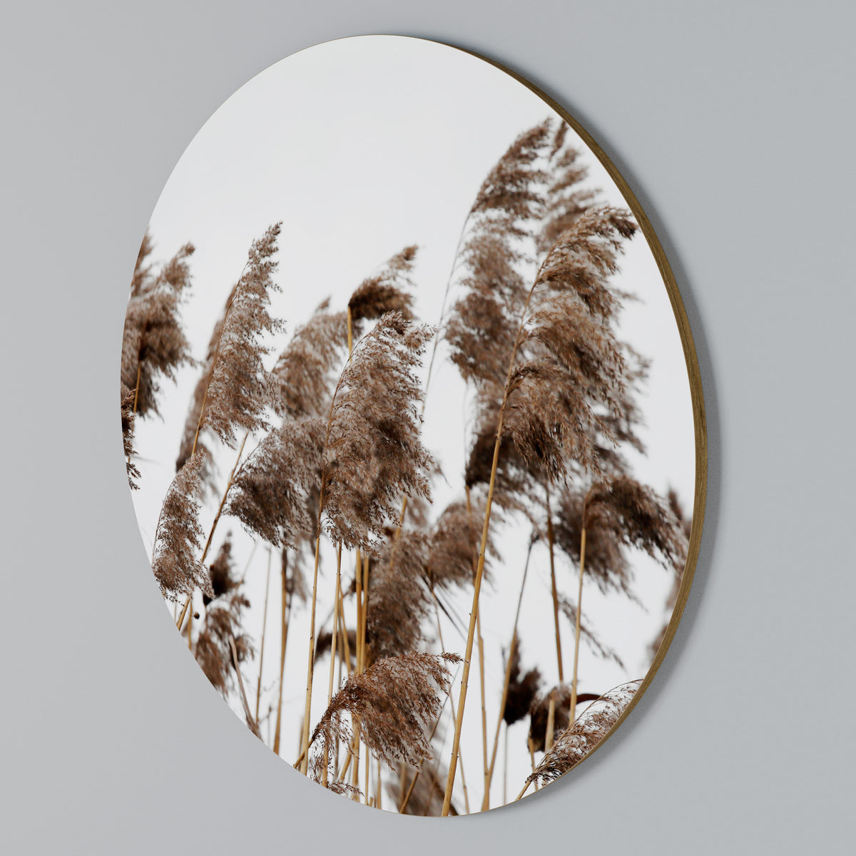 DANCE OF REEDS Arte de Parede Redonda