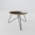 MAMMOTH HOT SPRINGS Mesa de Centro 60