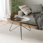 MAMMOTH HOT SPRINGS Mesa de Centro 60