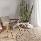 MAMMOTH HOT SPRINGS Mesa de Centro