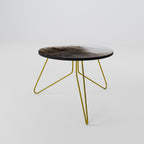 MAMMOTH HOT SPRINGS Mesa de Centro 60