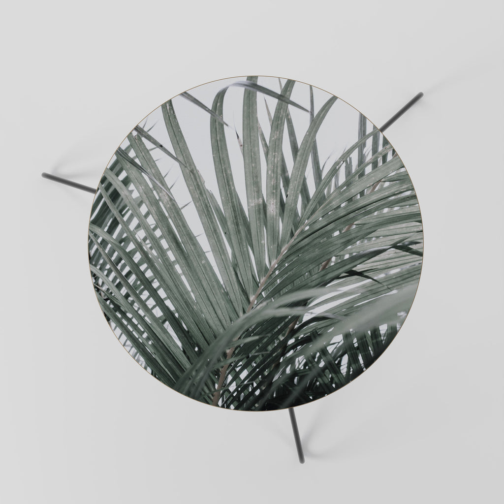 PALM WHISPERS Coffee Table 60