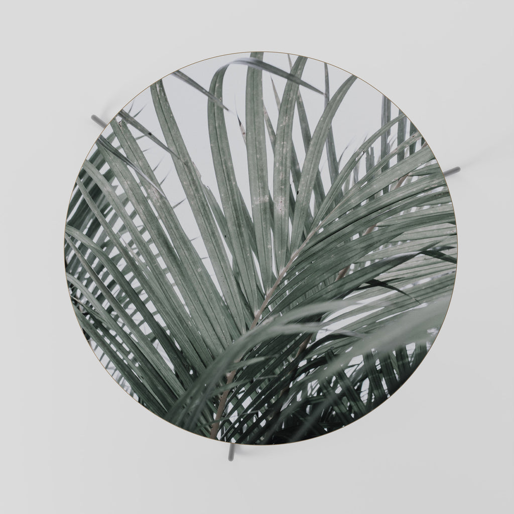 PALM WHISPERS Mesa de Centro 69