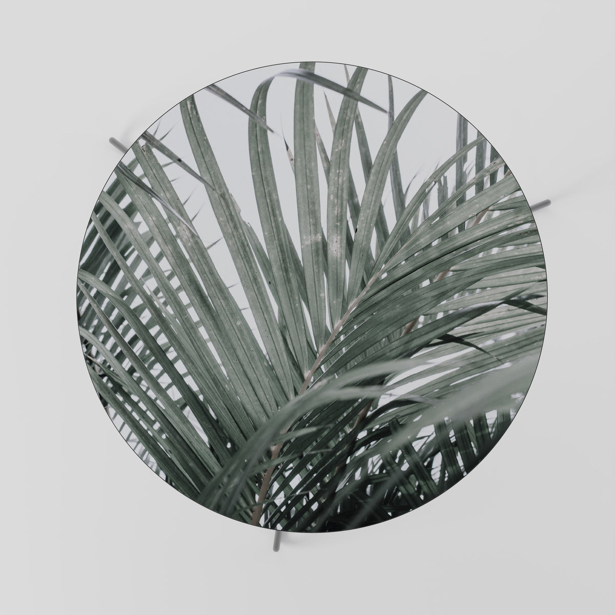 PALM WHISPERS Mesa de Centro