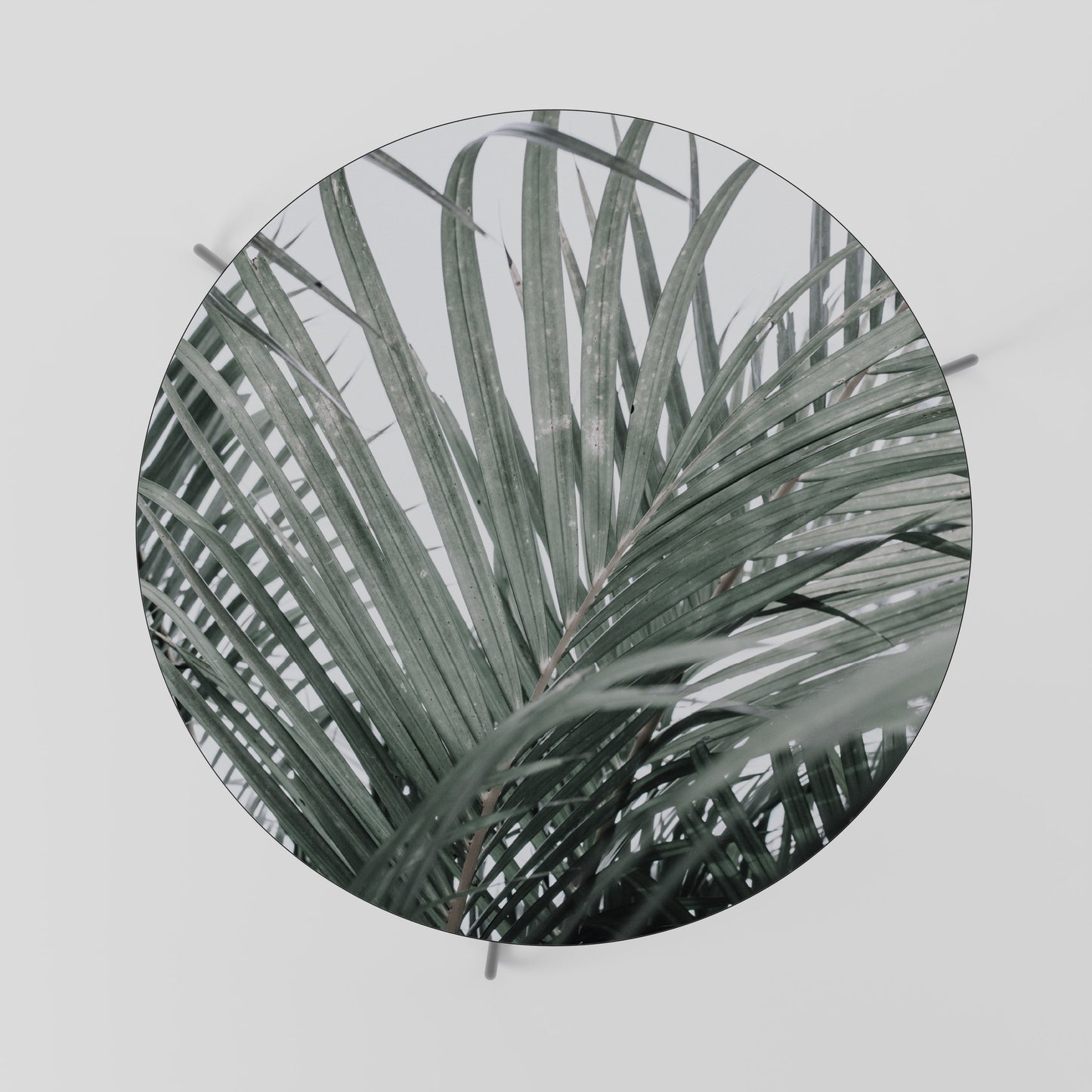PALM WHISPERS Mesa de Centro