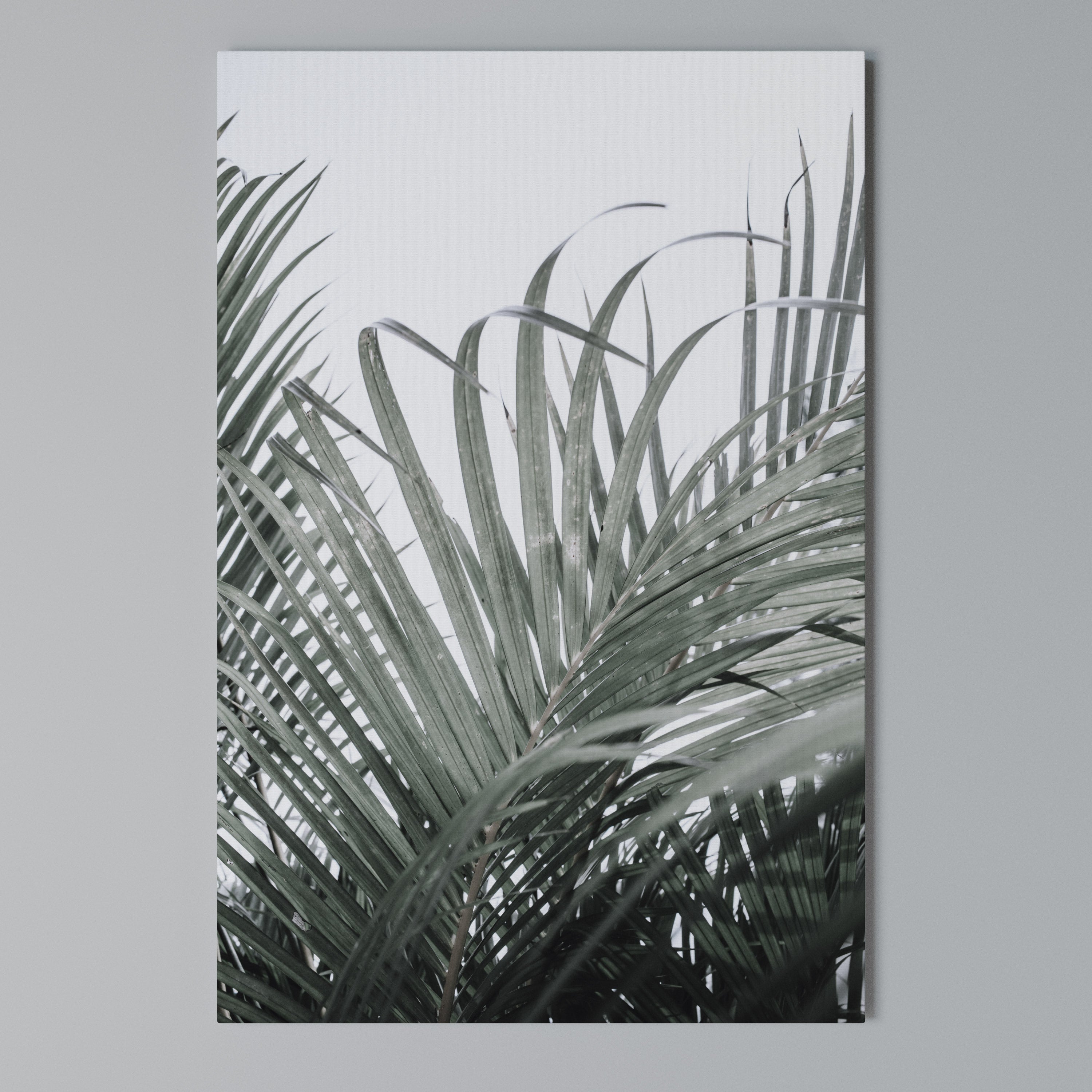 PALM WHISPERS Quadro em tela vertical