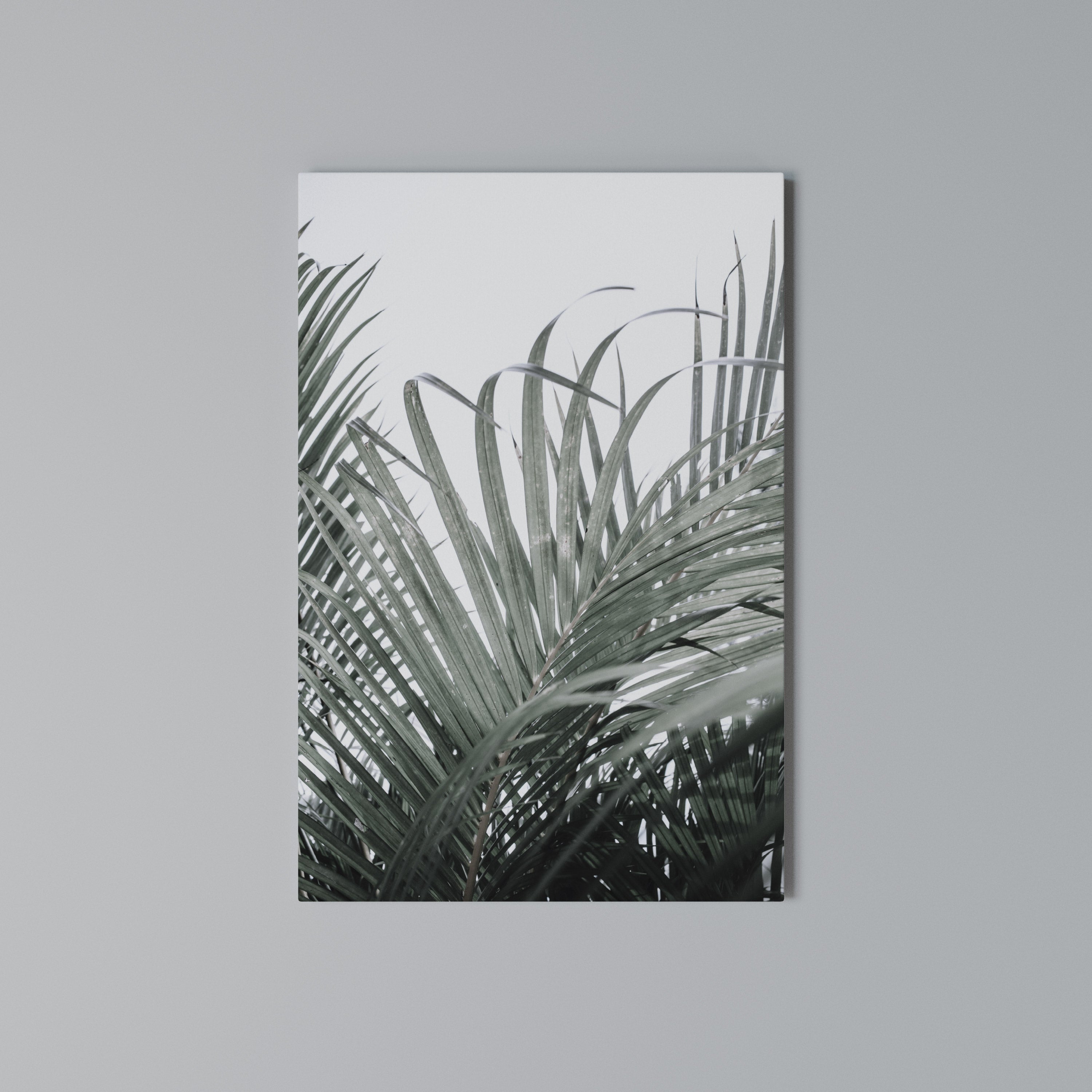 PALM WHISPERS Quadro em tela vertical