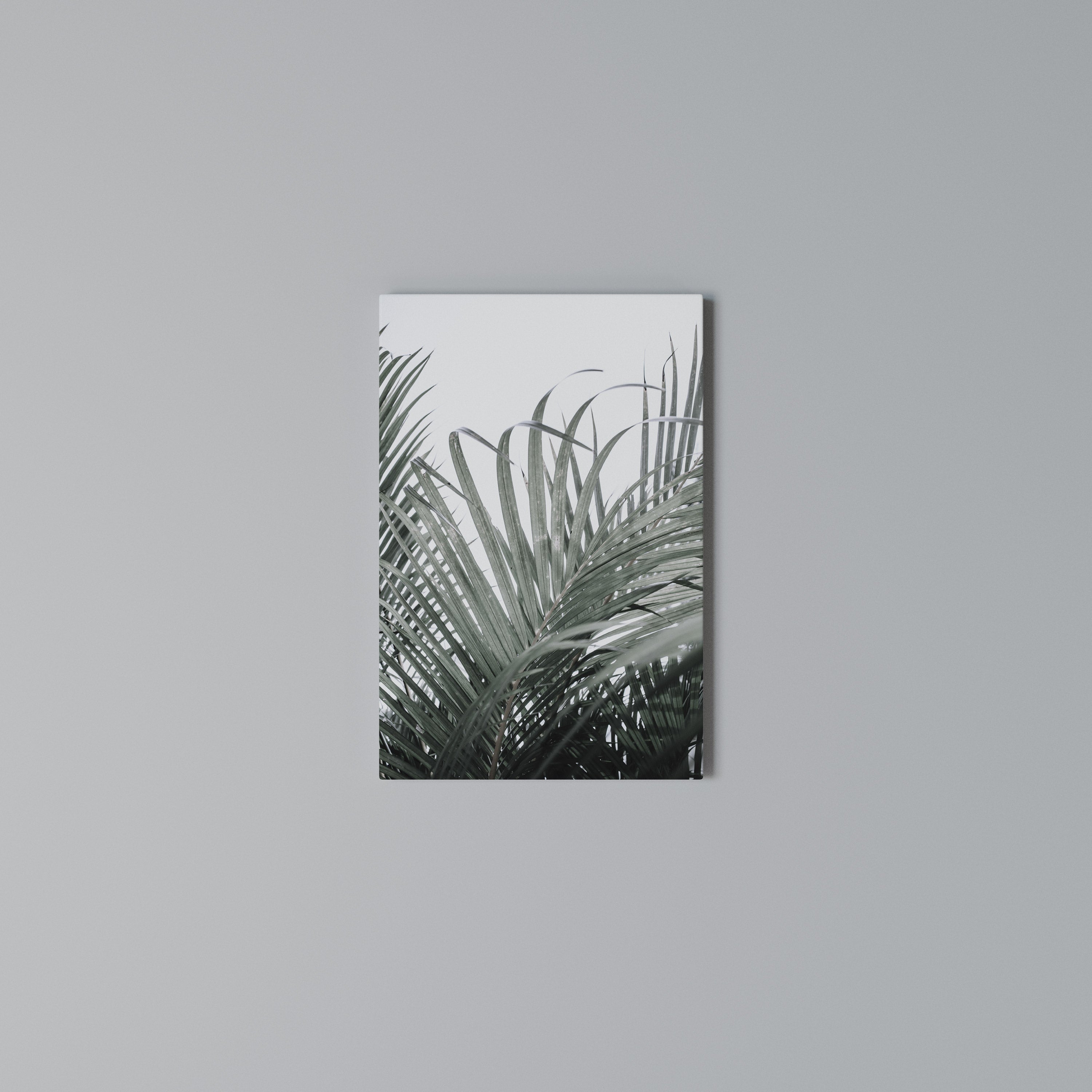 PALM WHISPERS Quadro em tela vertical