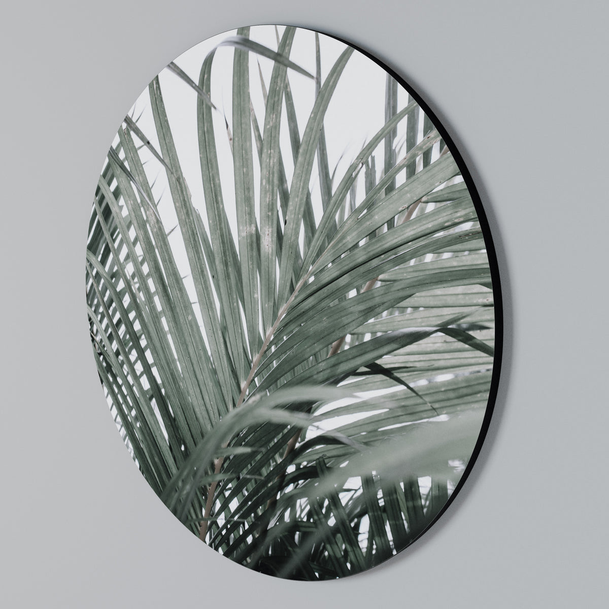 PALM WHISPERS Arte de Parede Redonda